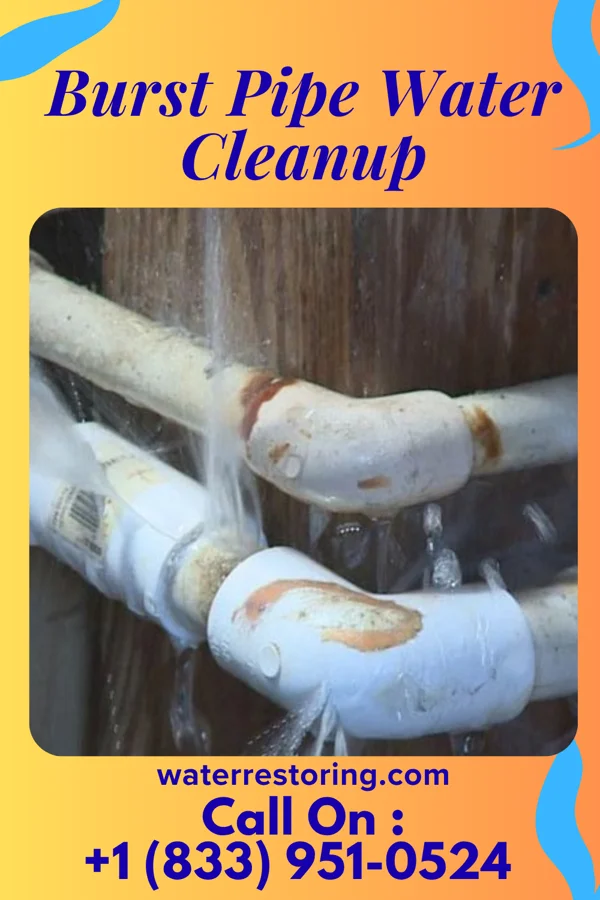 Burst Pipe Water Cleanup in Estherville, IA