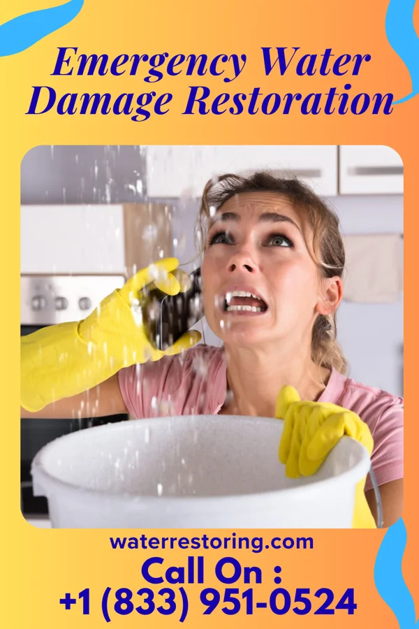Emergency Water Damage Restoration in Estherville, IA